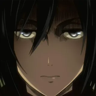 😑 Mikasa Ackerman Attack on Titan Anime, Personage, Attack on Titan, Mikasa Ackerman, Serieus, Portret telegram sticker