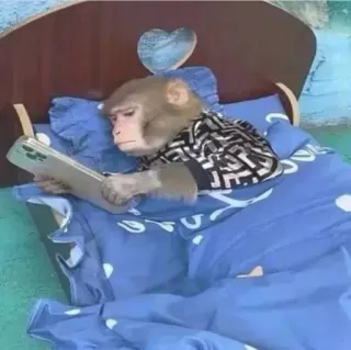 😴 małpa, zwierzę, łóżko, telefon, czytanie telegram sticker