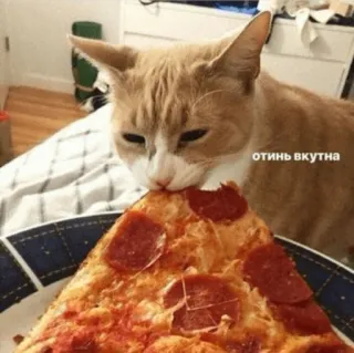 🤤 отинь вкутна telegram sticker