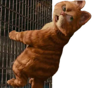 😠 Garfield cat, orange, cartoon telegram sticker