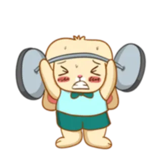 🏋‍♀ coelho, halterofilismo, exercício, fofo, desenho animado, coelhinho, fitness telegram sticker