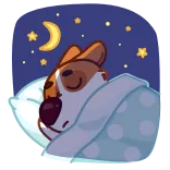 😴 dog, sleeping, moon, stars, night telegram sticker
