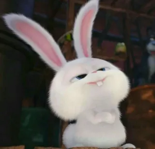 🕊 Snowball The Secret Life of Pets thỏ, động vật, dễ thương, trắng, thú cưng telegram sticker