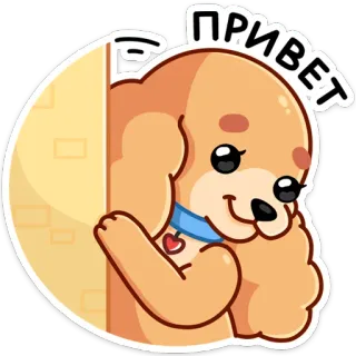 👋 ПРИВЕТ Hund, Welpe, süß, Gruß, Hallo, freundlich telegram sticker