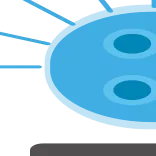 🔝 @emodji_all 👈 Разделители telegram emojis 🚨