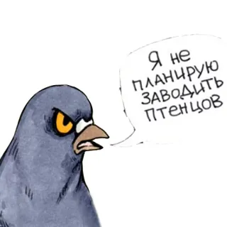 🙅 Я не планирую заводить птенцов oiseau, en colère, pigeon, dessin animé, animal whatsapp sticker