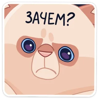 ❓ ЗАЧЕМ? gato, triste, pergunta, fofo, animal, adesivo telegram sticker