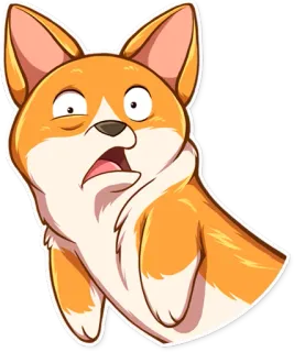 😨 corgi, perro, dibujo animado, sticker, animal, divertido, expresión whatsapp sticker