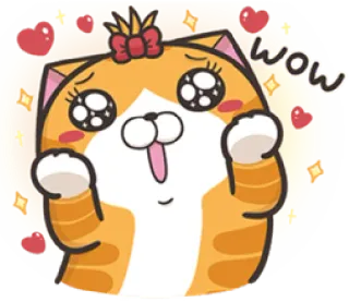 😀 wow Katze, Wow, Aufgeregt, Glücklich, Niedlich, Sticker telegram sticker