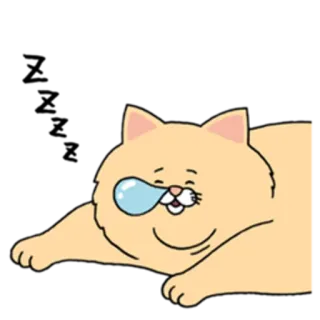 😴 cat, animal, sleepy, cartoon, cute, pet telegram sticker