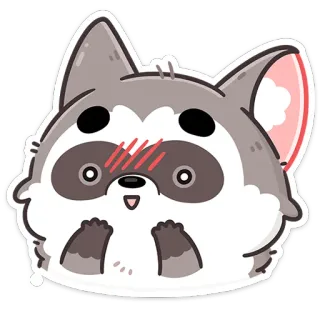 ☺️ szop, słodki, zwierzę, kreskówka, naklejka, kawaii whatsapp sticker