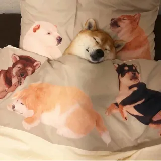 🐶 anjing, bantal, tidur, tempat tidur, shiba inu, lucu whatsapp sticker
