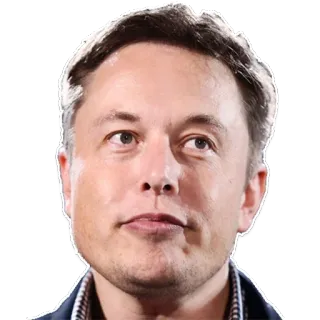 🙂 Elon Musk Elon Musk, businessman, technology, entrepreneur, tesla, spacex telegram sticker