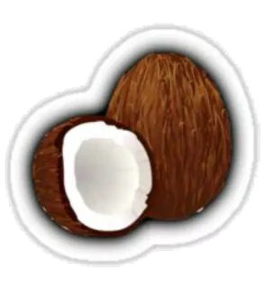 Coconuts-nuts telegram stickers