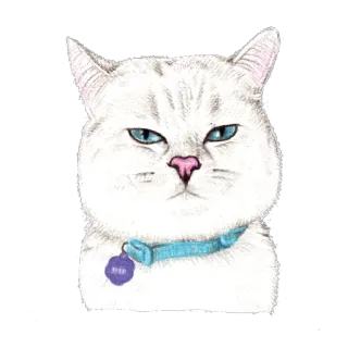😐 고양이, 애완동물, 동물, 목걸이, 스티커 telegram sticker