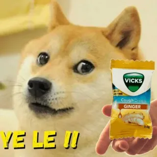 🍬 YE LE !!! doge, perro, vicks, pastillas para la tos, jengibre telegram sticker