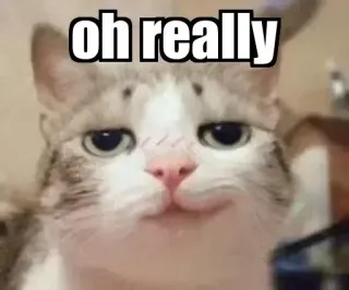 😌 oh really kucing, meme, lucu, sarkastik, serius? telegram sticker