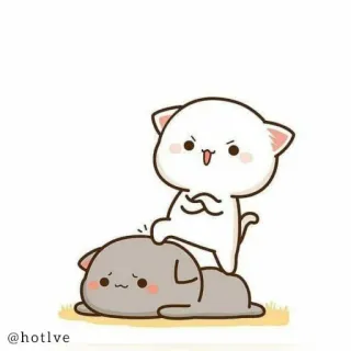 😎 @hotlve cat, cartoon, cute, animal, sticker telegram sticker
