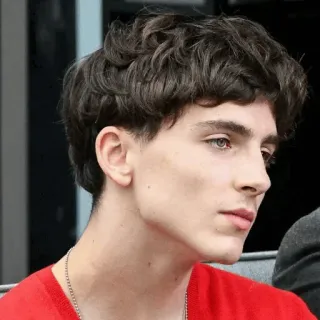 😒 Timothée Chalamet ทิโมธี ชาลาเมต์, นักแสดง, คนดัง, ภาพเหมือน, หนุ่ม, ผู้ชาย telegram sticker