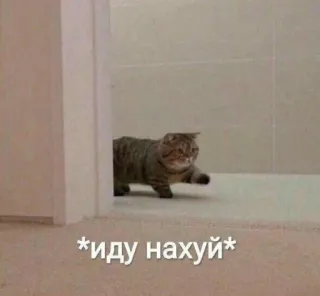 🙂 *иду нахуй* Katze, Gehen, Innen, Beleidigend, Russisch telegram sticker