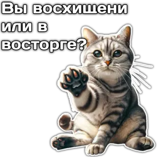 ❔ Вы восхищены или в восторге? cat, sticker, russian, cute, animal, pet, tabby telegram sticker