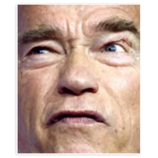 👊 Arnold Schwarzenegger Arnold Schwarzenegger, Gesicht, Promi, Ausdruck telegram sticker