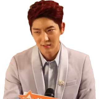 😠 person, man, portrait, red hair, smirk, korean telegram sticker