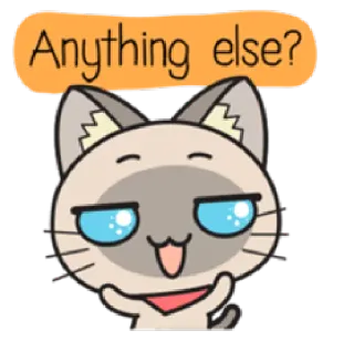 😏 Anything else? gato, fofo, meme, pergunta, animal, engraçado whatsapp sticker