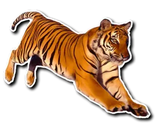 Striped @stickersb2b telegram stickers