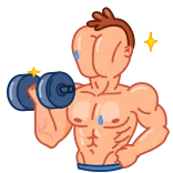💪 músculos, culturismo, ejercicio, fitness, mancuerna, gimnasio, sudor telegram sticker