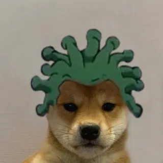 🌿 Hund, Tier, Haustier, Anime-Stil, süß telegram sticker
