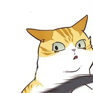 🐈 mèo, động vật, hoạt hình, thú cưng, meme, hài hước, biểu cảm, cam telegram sticker