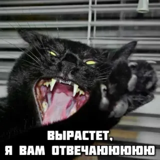 🥹 ВЫРАСТЕТ, Я ВАМ ОТВЕЧАЮЮЮЮЮЮ whatsapp sticker