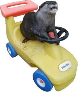 Otters Gotta Ott 2 telegram stickers