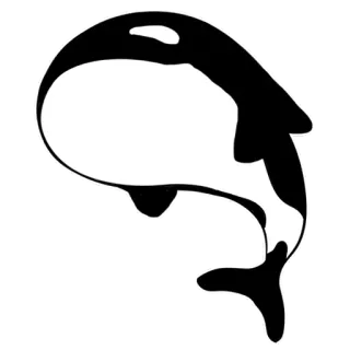 💃 Косатка, Кит, Море, Животное, Морской, Млекопитающее telegram sticker