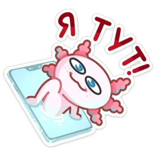 🙋‍♀️ Я тут! axolotl, mignon, autocollant, téléphone, dessin animé whatsapp sticker