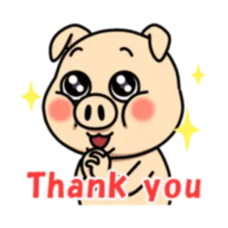 🙏 Thank you Schwein, süß, danke, Gruß, entzückend, Cartoon telegram sticker