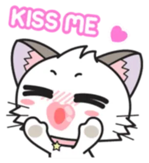 😚 KISS ME cat, kiss, cute, love, heart, cartoon, animal whatsapp sticker