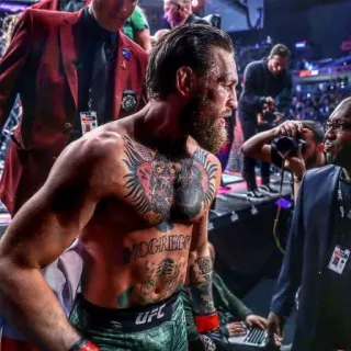 👑 Conor McGregor UFC, MMA, боец, спорт, тату, мускулы, бокс whatsapp sticker