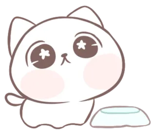 🤩 gato, fofo, kawaii, animal, animal de estimação, adesivo telegram sticker