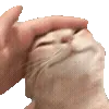 🥹