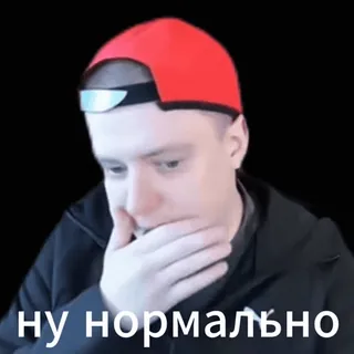 😀 Stray Stray228 ну нормально, еще посидим whatsapp sticker