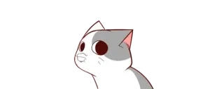 🙃 gato, animal, adesivo, desenho animado telegram sticker