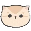 🐱