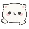 🐱