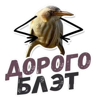 💲 ДОРОГО БЛЭТ bird, russian, offensive whatsapp sticker