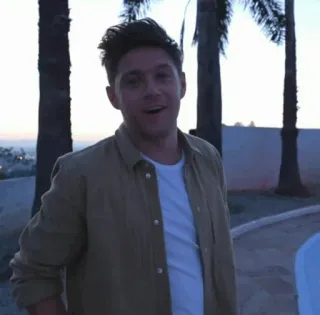 🌿 Niall Horan cantante, celebridad, Niall Horan telegram sticker