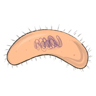 😞 bacteria, célula, microorganismo, biología, ciencia, microscópico whatsapp sticker