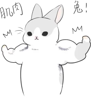 💪 肌肉兔!! królik, mięśnie, śmieszne, kreskówka, zwierzę telegram sticker