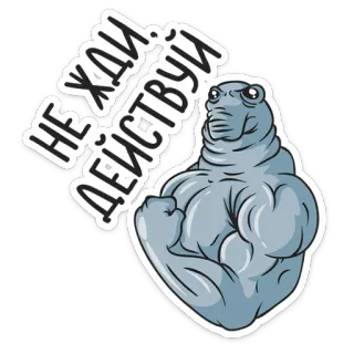 💪 НЕ ЖДИ! ДЕЙСТВУЙ! muscle, motivation, gym, action, strong, seal telegram sticker